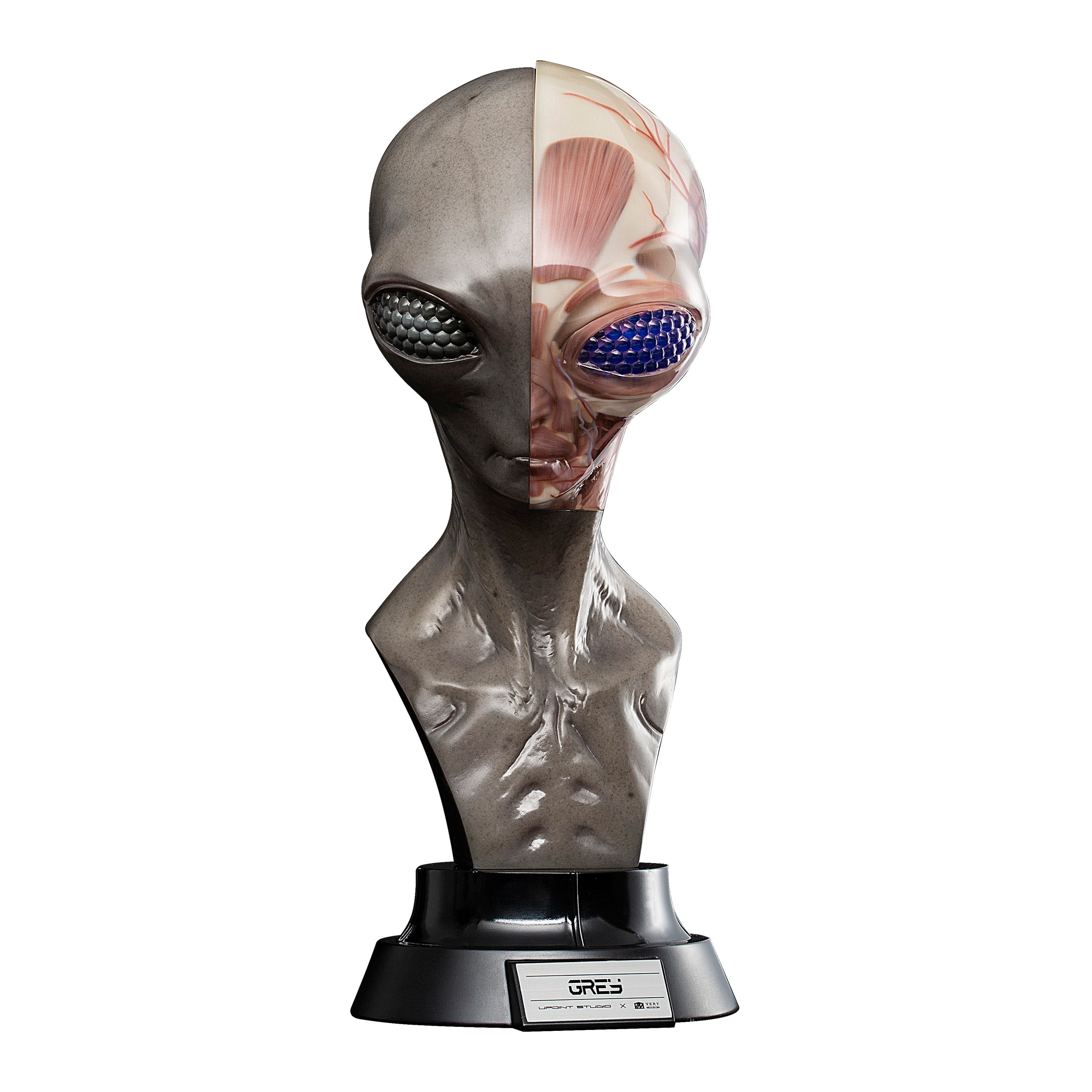 The Grey – UpointStudio