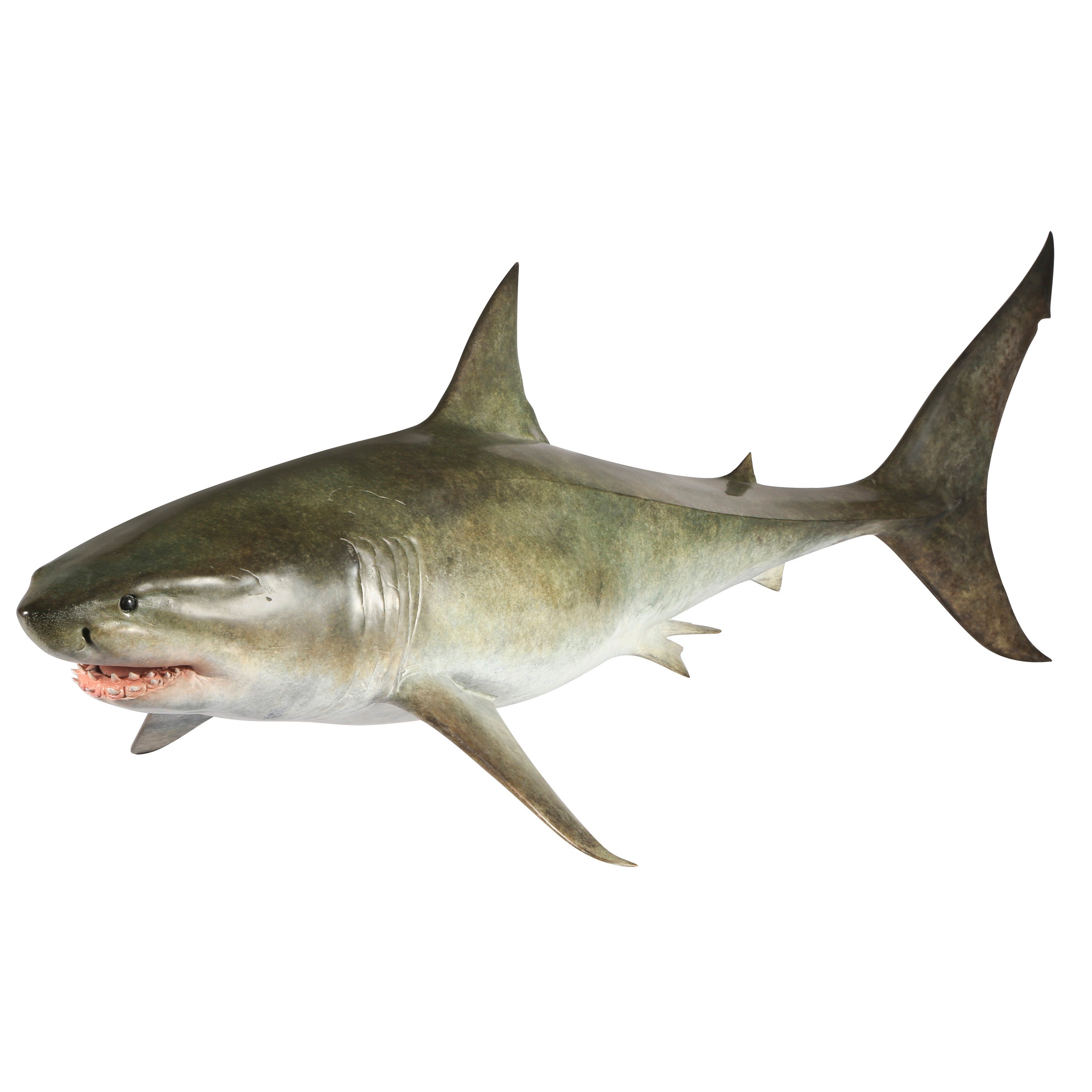 邦楽 GREAT WHITE SHARK ROCK / SWAMP RATZ GREAT WHITE SHARK ROCK / SWAMP RATZ