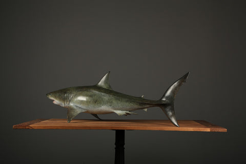 The Great White Shark Sculpture