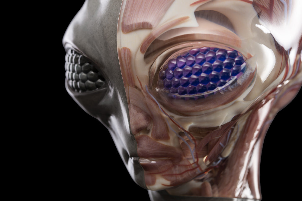 リアルエイリアンコレクション NO.13 FRILL NECK GREY リアル