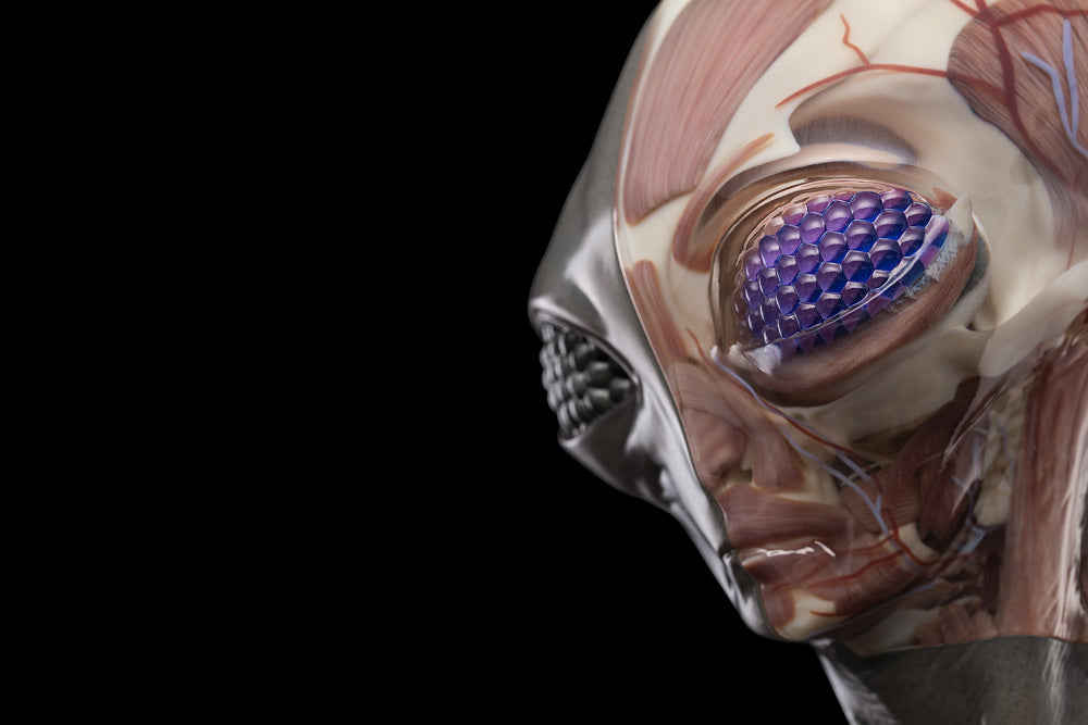 The Grey – UpointStudio