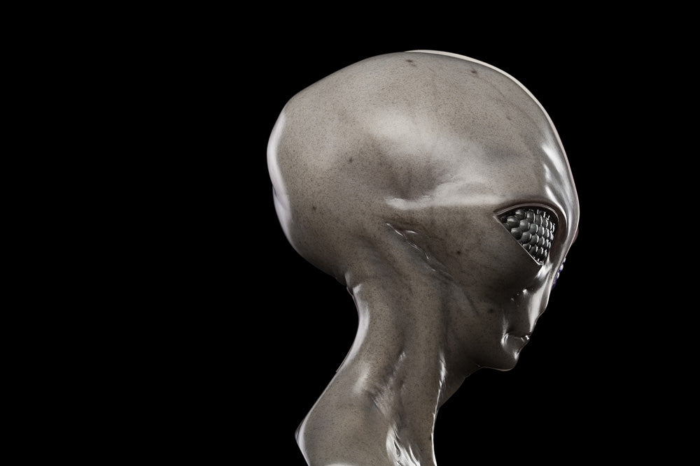 The Grey – UpointStudio